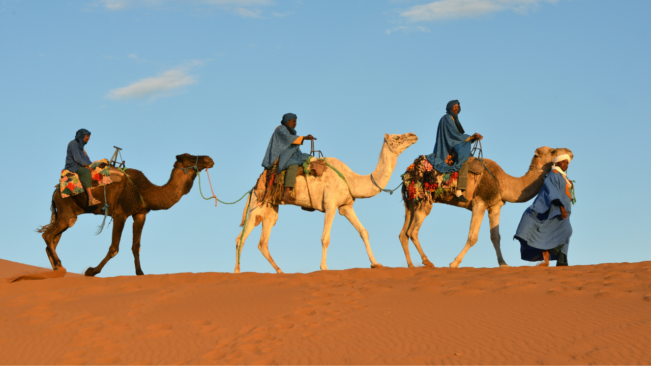 Marruecos-Verdadero-Galerias-Tour-7.png