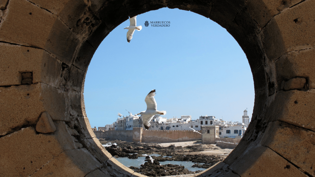 Marruecos-Verdadero-Galerias-Tour-9-1.png