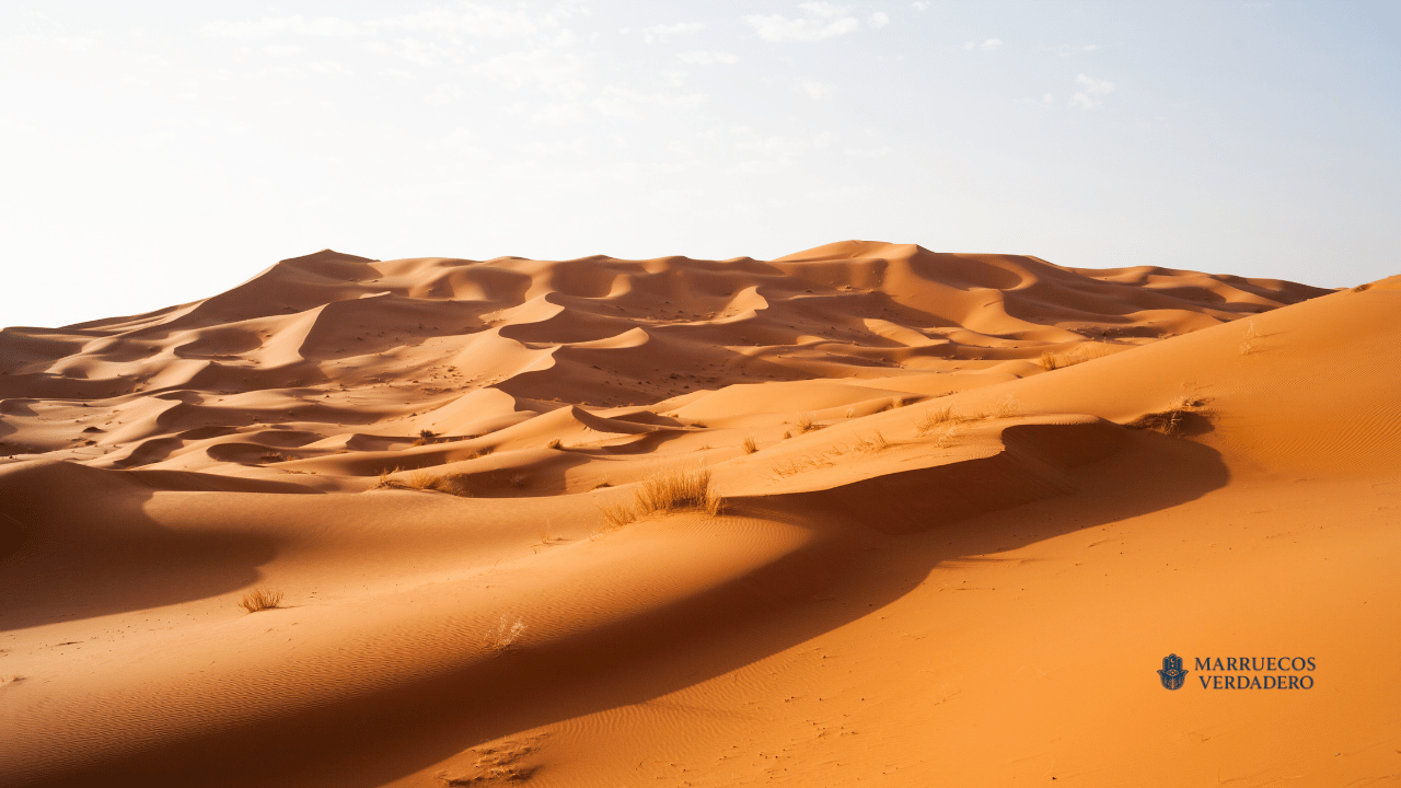 Merzouga-3.png