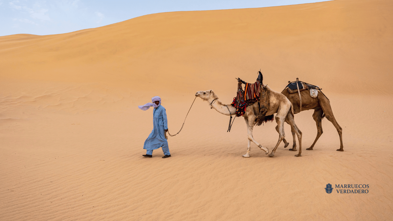 Merzouga-4.png
